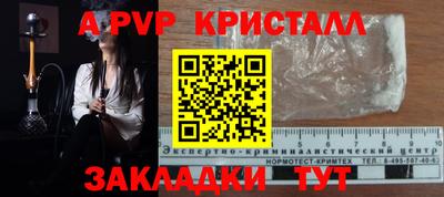молекула духа Долгопрудный